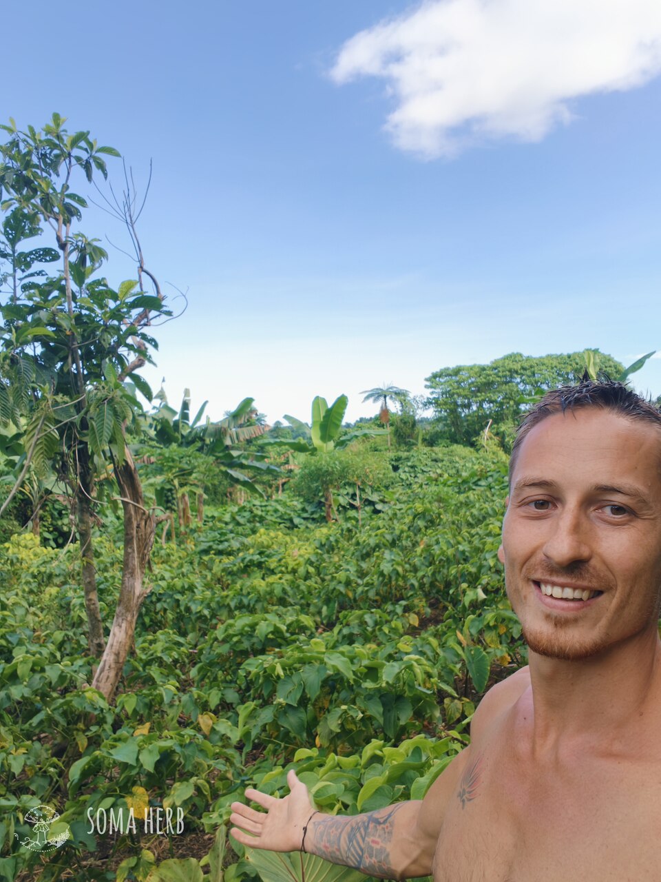Green Flow – Instant Kava (Vanuatu) 10 g